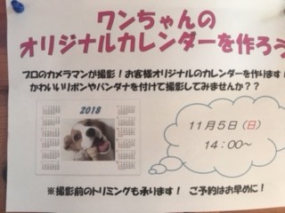 来年は犬年お家のワンちゃんの写真でカレンダー作りませんか(^^)